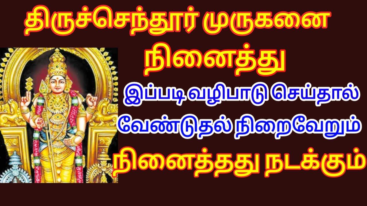 திருச்செந்தூர் முருகனை வீட்டிலேயே இப்படி வழிபடுங்க...கஷ்டம் அனைத்தும் தீரும்.